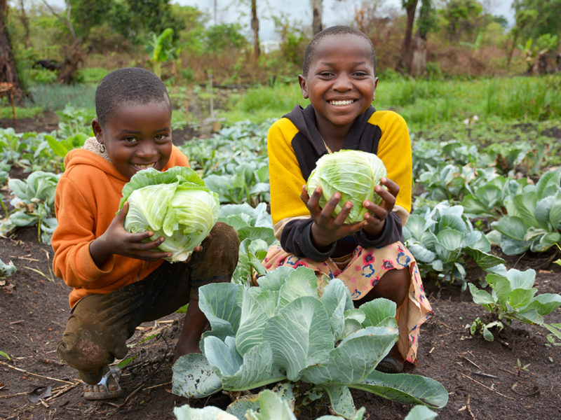 Thank you! Congress just passed the Global Food Security Act!